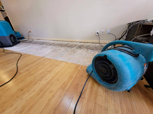 Professional Basement Flood Cleanup technician working in Lewiston, UT